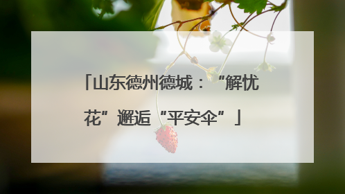 山东德州德城：“解忧花”邂逅“平安伞”