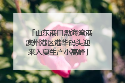山东港口渤海湾港滨州港区港华码头迎来入夏生产小高峰