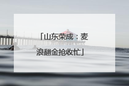山东荣成：麦浪翻金抢收忙