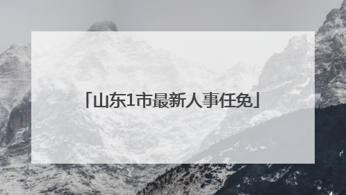 山东1市最新人事任免