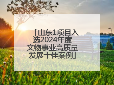 山东1项目入选2024年度文物事业高质量发展十佳案例