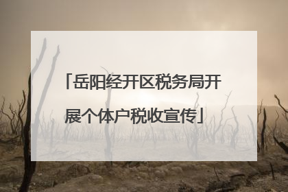 岳阳经开区税务局开展个体户税收宣传