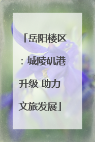 岳阳楼区：城陵矶港升级 助力文旅发展
