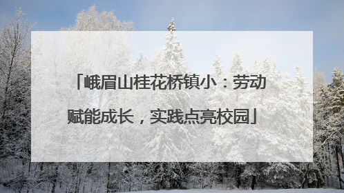 峨眉山桂花桥镇小：劳动赋能成长，实践点亮校园