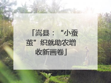嵩县：“小蚕茧”织就助农增收新画卷