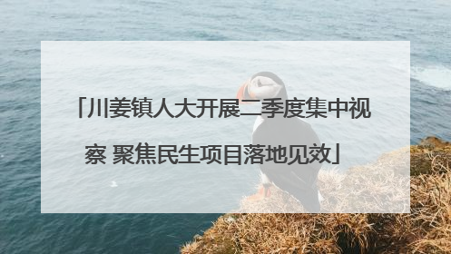 川姜镇人大开展二季度集中视察 聚焦民生项目落地见效