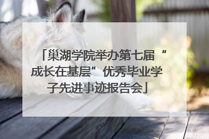 巢湖学院举办第七届“成长在基层”优秀毕业学子先进事迹报告会