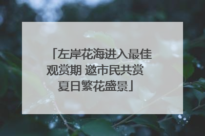 左岸花海进入最佳观赏期 邀市民共赏夏日繁花盛景