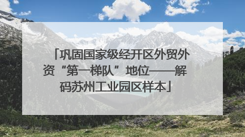 巩固国家级经开区外贸外资“第一梯队”地位——解码苏州工业园区样本