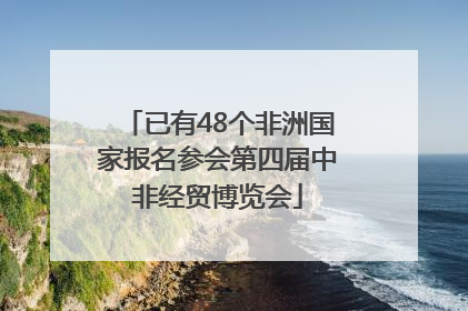 已有48个非洲国家报名参会第四届中非经贸博览会
