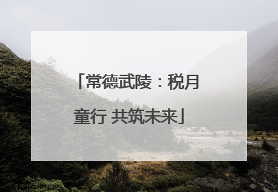 常德武陵：税月童行 共筑未来