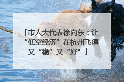 市人大代表徐向东：让“低空经济”在杭州飞得又“稳”又“好”
