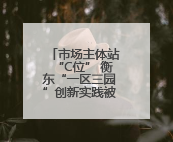 市场主体站“C位” 衡东“一区三园”创新实践被全省推介
