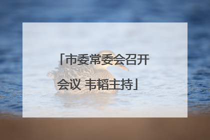 市委常委会召开会议 韦韬主持