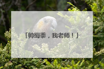 帅蜀黍，我老师！