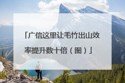 广信这里让毛竹出山效率提升数十倍（图）