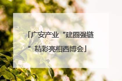 广安产业“建圈强链”精彩亮相西博会