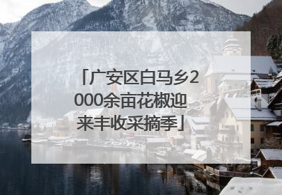 广安区白马乡2000余亩花椒迎来丰收采摘季