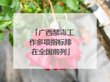 广西禁毒工作多项指标排在全国前列