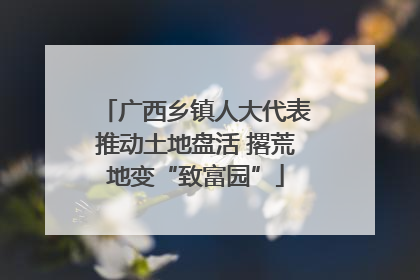 广西乡镇人大代表推动土地盘活 撂荒地变“致富园”