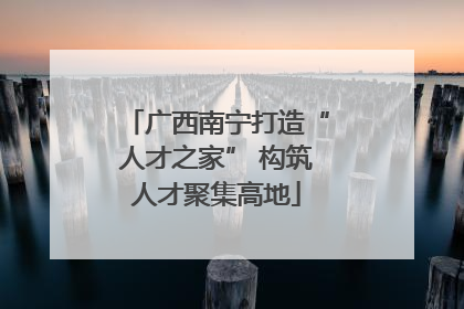 广西南宁打造“人才之家” 构筑人才聚集高地