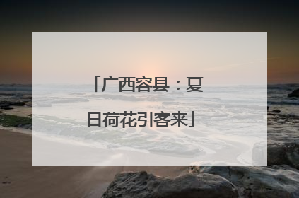 广西容县：夏日荷花引客来