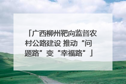 广西柳州靶向监督农村公路建设 推动“问题路”变“幸福路”
