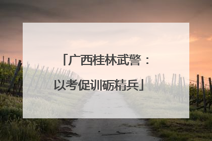 广西桂林武警：以考促训砺精兵