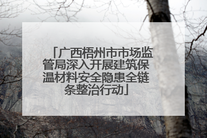 广西梧州市市场监管局深入开展建筑保温材料安全隐患全链条整治行动
