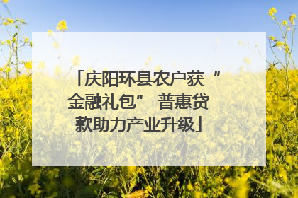 庆阳环县农户获“金融礼包” 普惠贷款助力产业升级