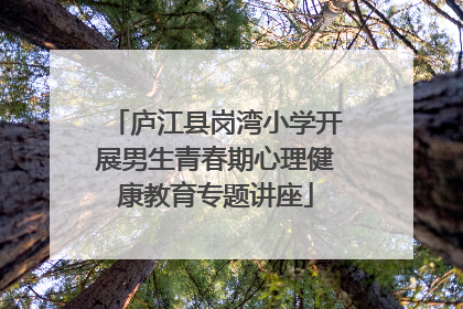 庐江县岗湾小学开展男生青春期心理健康教育专题讲座