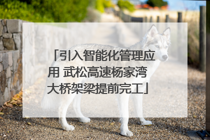 引入智能化管理应用 武松高速杨家湾大桥架梁提前完工