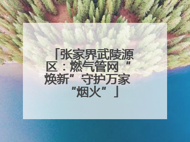 张家界武陵源区：燃气管网“焕新”守护万家“烟火”