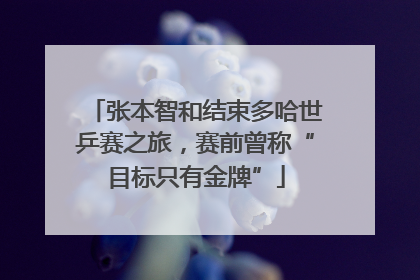 张本智和结束多哈世乒赛之旅，赛前曾称“目标只有金牌”