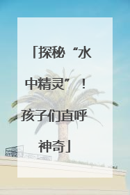 探秘“水中精灵”！孩子们直呼神奇