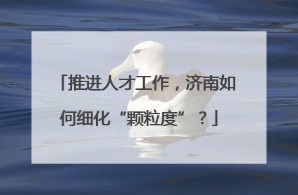 推进人才工作，济南如何细化“颗粒度”？