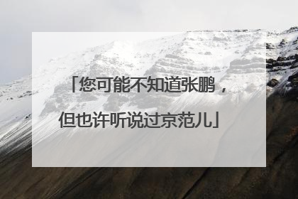 您可能不知道张鹏，但也许听说过京范儿
