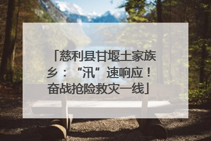 慈利县甘堰土家族乡：“汛”速响应！奋战抢险救灾一线