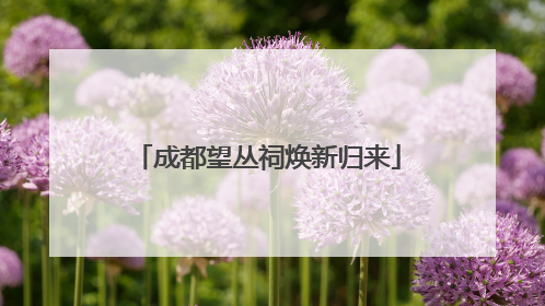 成都望丛祠焕新归来