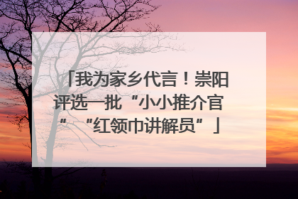 我为家乡代言！崇阳评选一批“小小推介官”“红领巾讲解员”