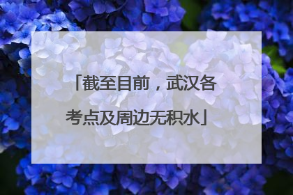 截至目前，武汉各考点及周边无积水