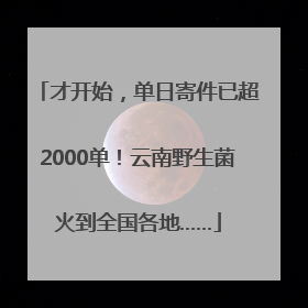 才开始，单日寄件已超2000单！云南野生菌火到全国各地……