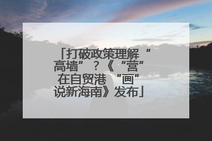 打破政策理解“高墙”？《“营”在自贸港 “画”说新海南》发布