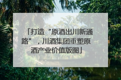 打造“原酒出川新通路”，川酒集团重塑原酒产业价值版图