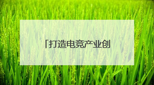 打造电竞产业创新高地！BLG无畏契约电竞战队落户广州花都