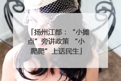 扬州江都：“小摊点”旁讲政策 “小爬爬”上话民生