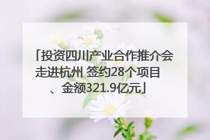 投资四川产业合作推介会走进杭州 签约28个项目、金额321.9亿元
