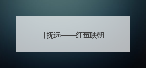 抚远——红莓映朝阳 界江听熊吟