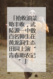 抢收油菜助丰收，武陵源一中数百名师生在黄龙洞生态田园上演“青春助农记”