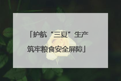 护航“三夏”生产 筑牢粮食安全屏障